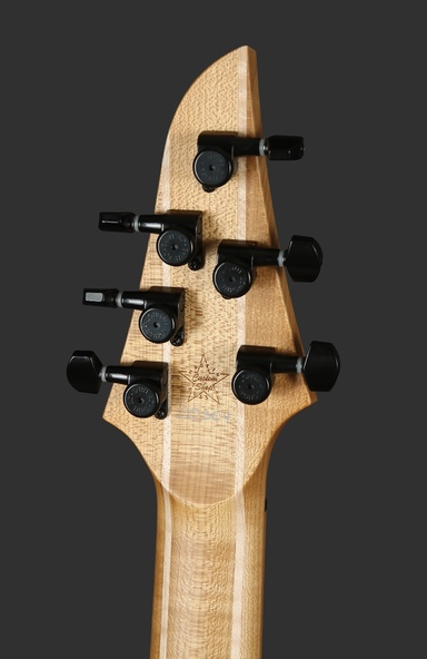Dominator 6