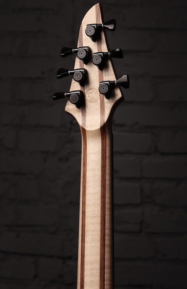 Dominator 6