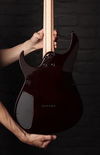 Dominator 6