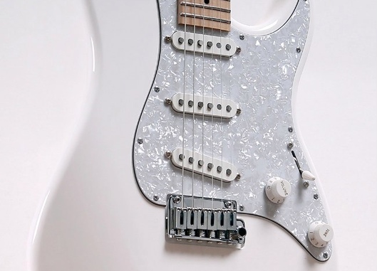 S Model Custom BV