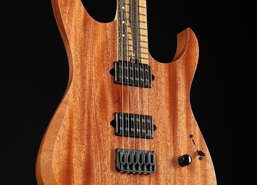 Dominator 6 Custom HN