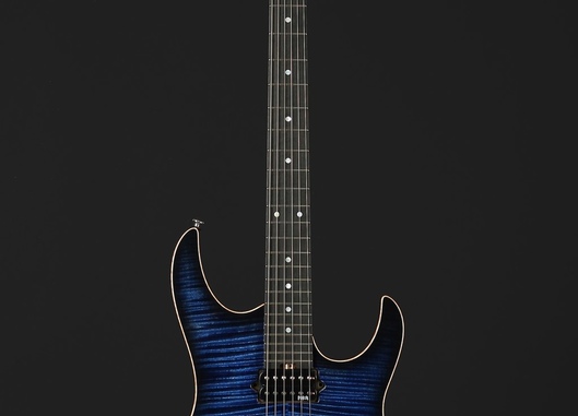 F Model Custom SG