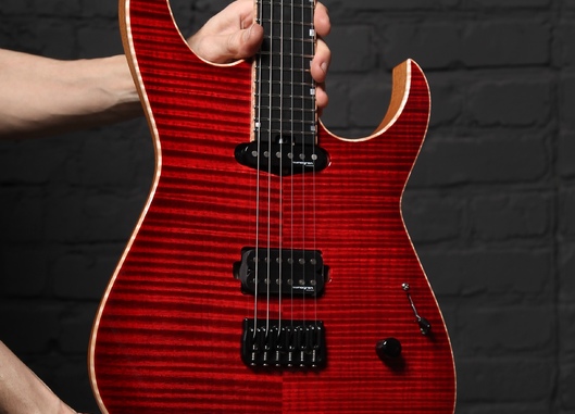 Dominator 6 Custom MY