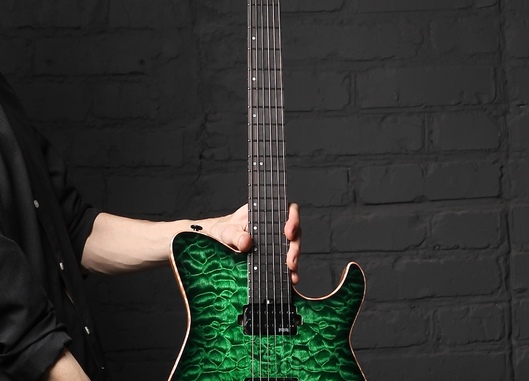 Dominator T 6 Custom