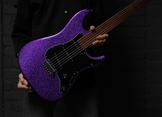 S Pro Model