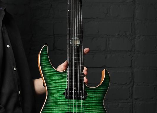 Dominator 6 Custom ZL