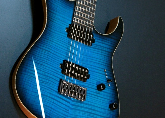 Dominator 7 Custom MN