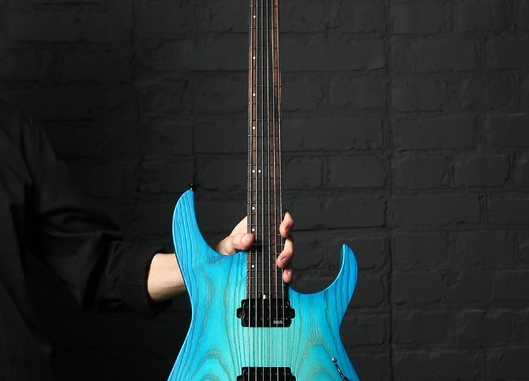Dominator 6 Custom