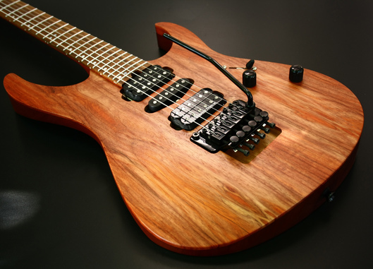 Dominator 6 SGM