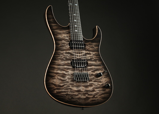 Dominator 6 Custom