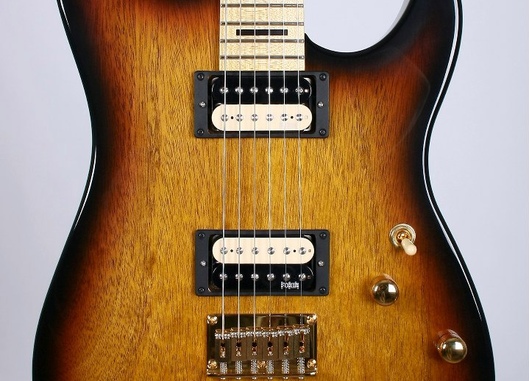 S Model Custom SN