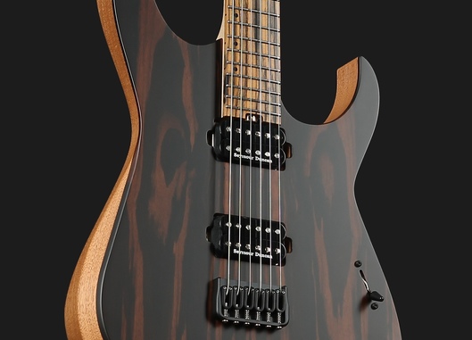 Dominator 6 Custom PA