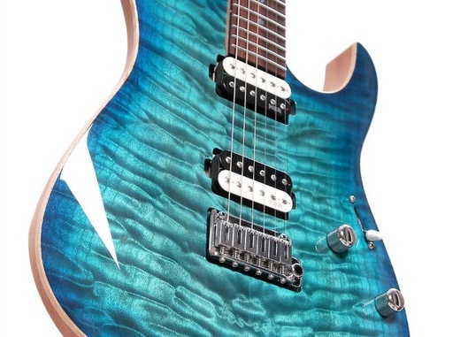 F Model Custom HV
