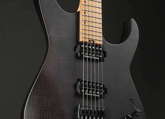 Dominator 6
