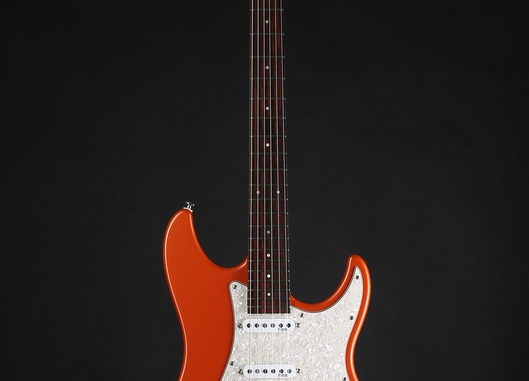 S Model Custom SE