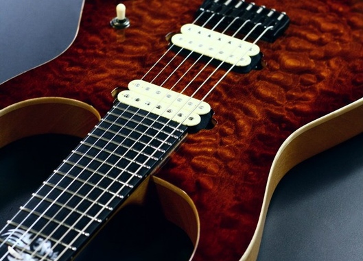 Dominator Custom PP