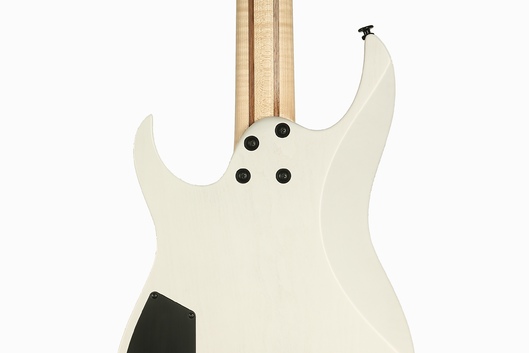Dominator