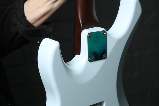 S Model