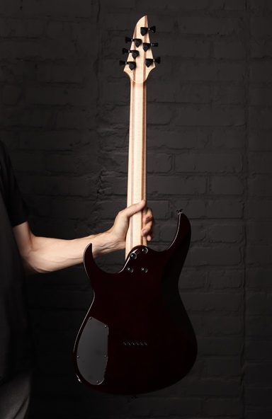 Dominator 6